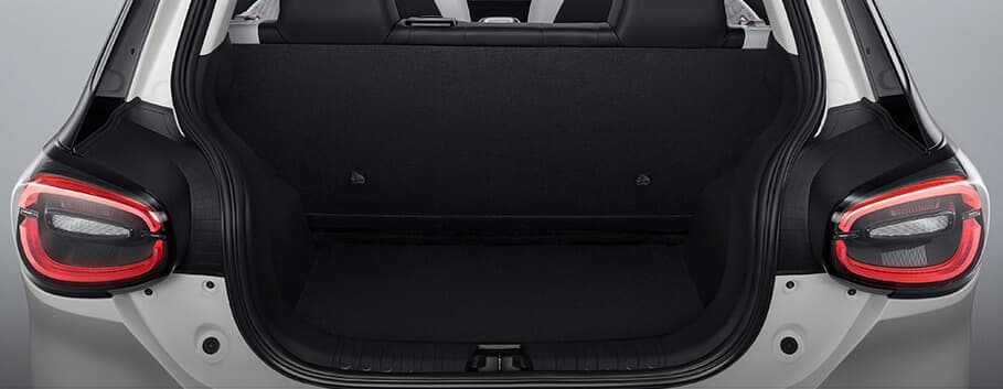 Expandable Large-capacity Trunk